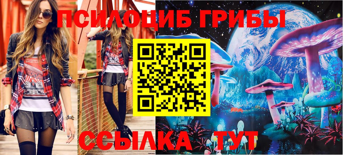 Псилоцибиновые грибы GOLDEN TEACHER  Вход с VPN  Псилоцибиновые грибы MAGIC MUSHROOMS  Евпатория 